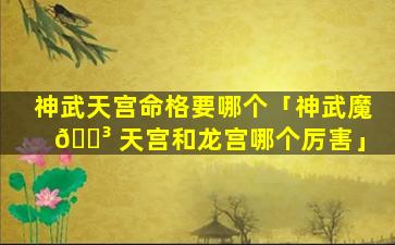 神武天宫命格要哪个「神武魔 🐳 天宫和龙宫哪个厉害」
